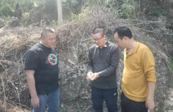 1770606290254576.png image.png